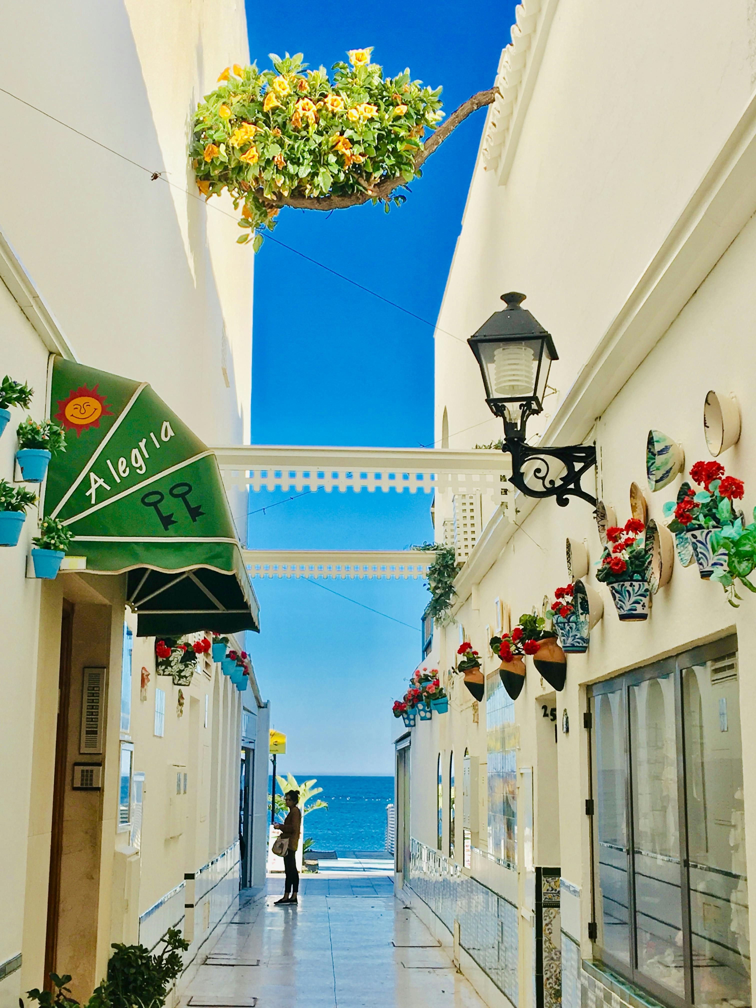Best Time to Visit Torremolinos: Your Complete Seasonal Guide 2025